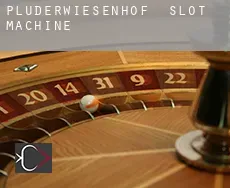 Plüderwiesenhof  slot machine