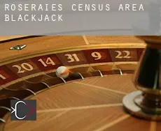 Roseraies (census area)  blackjack