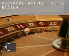 Rossmore Bridge horse racing