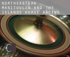 Northeastern Manitoulin and the Islands  horse racing