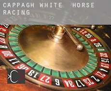 Cappagh White horse racing