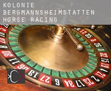 Kolonie Bergmannsheimstätten  horse racing