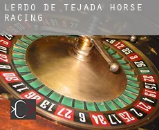 Lerdo de Tejada  horse racing