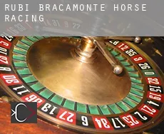 Rubí de Bracamonte  horse racing