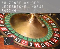 Sulzdorf an der Lederhecke  horse racing