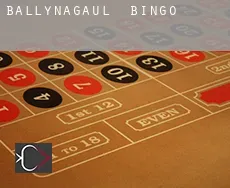 Ballynagaul bingo