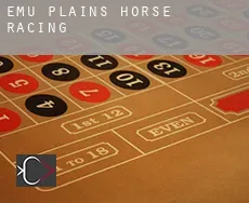 Emu Plains  horse racing