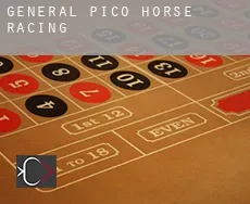 General Pico  horse racing