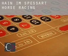 Hain im Spessart  horse racing