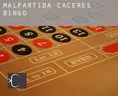 Malpartida de Cáceres  bingo
