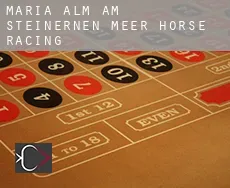 Maria Alm am Steinernen Meer  horse racing