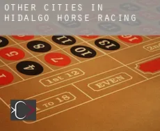 Other cities in Hidalgo  horse racing