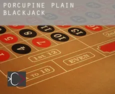 Porcupine Plain  blackjack