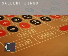 Sallent  bingo