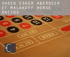 Sheen-Esher-Aberdeen-et-Malakoff  horse racing