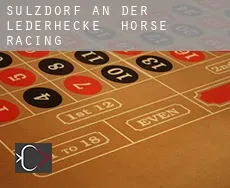 Sulzdorf an der Lederhecke  horse racing