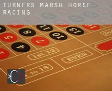 Turners Marsh horse racing