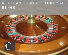 Acatlán de Pérez Figueroa  bingo
