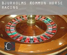 Bjurholms Kommun  horse racing