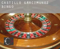 Castillo de Garcimuñoz bingo