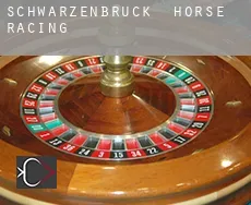 Schwarzenbruck horse racing