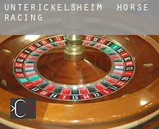 Unterickelsheim  horse racing