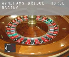 Wyndham’s Bridge  horse racing