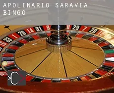 Apolinario Saravia  bingo