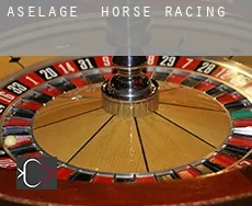 Aselage horse racing