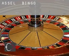 Assel  bingo