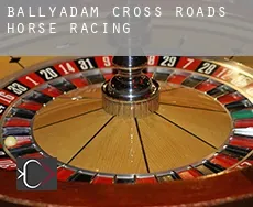Ballyadam Cross Roads  horse racing