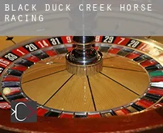 Black Duck Creek  horse racing