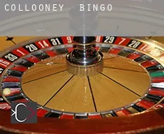 Collooney bingo