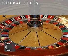 Conchal  slots