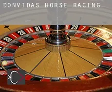 Donvidas horse racing