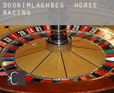 Doonimlaghbeg  horse racing
