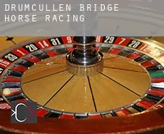 Drumcullen Bridge horse racing