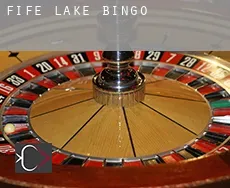 Fife Lake  bingo