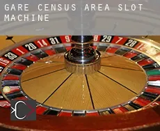 Gare (census area)  slot machine