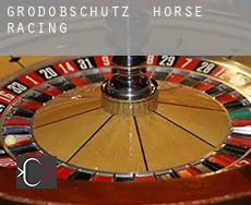 Großdöbschütz  horse racing