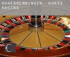 Hohenmemmingen horse racing