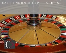 Kaltensondheim slots