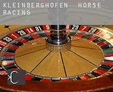 Kleinberghofen  horse racing