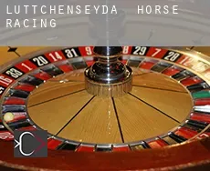 Lüttchenseyda horse racing
