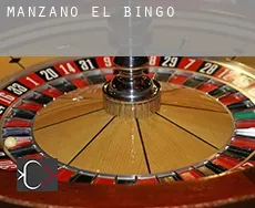 Manzano (El)  bingo
