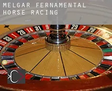 Melgar de Fernamental  horse racing