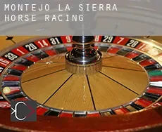 Montejo de la Sierra  horse racing