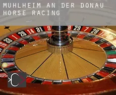 Mühlheim an der Donau horse racing