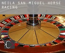 Neila de San Miguel  horse racing
