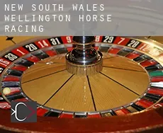 Wellington (New South Wales)  horse racing